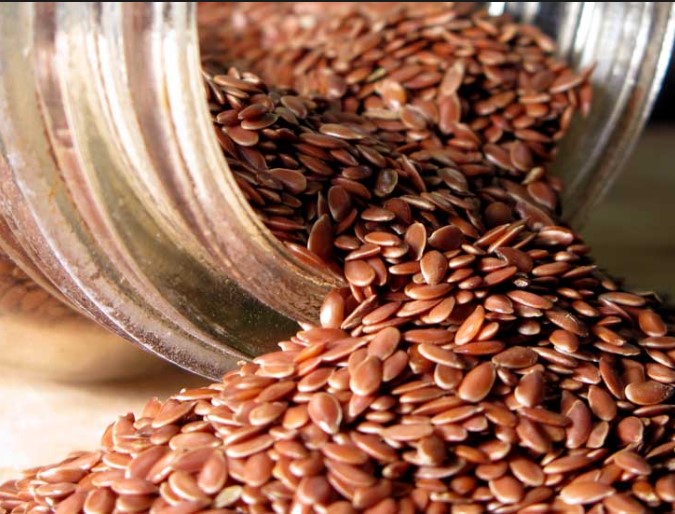 Flax Seeds