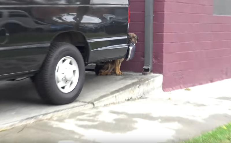 Under A Car