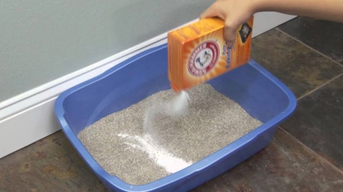 Litter Box Cleaner