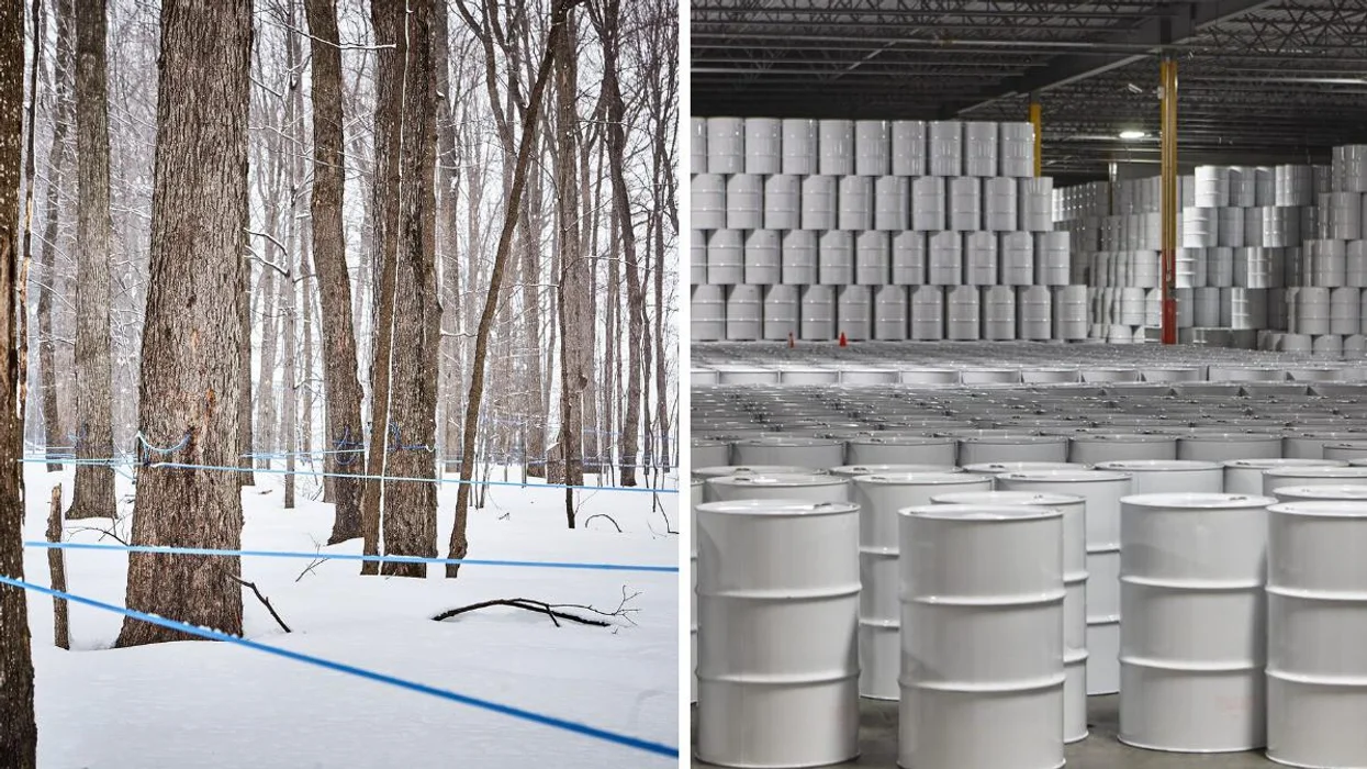 Canada Has Tapped Into Its Maple Syrup Reserve To Keep Up With Demand