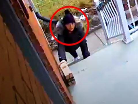 Porch Pirate?