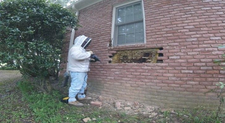 Removing More Bricks