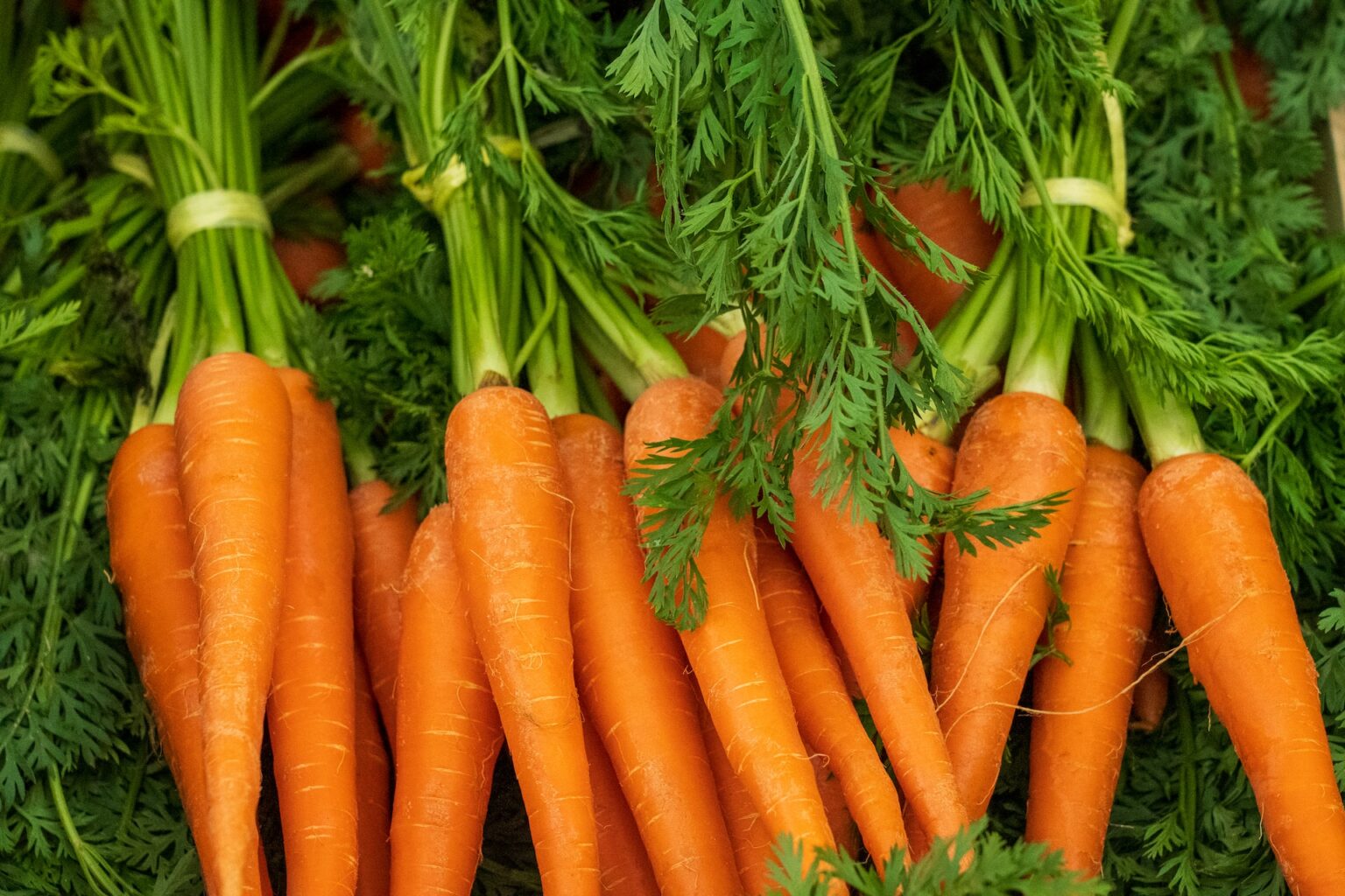 Baby Carrots Are An Illusion