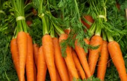 Baby Carrots Are An Illusion