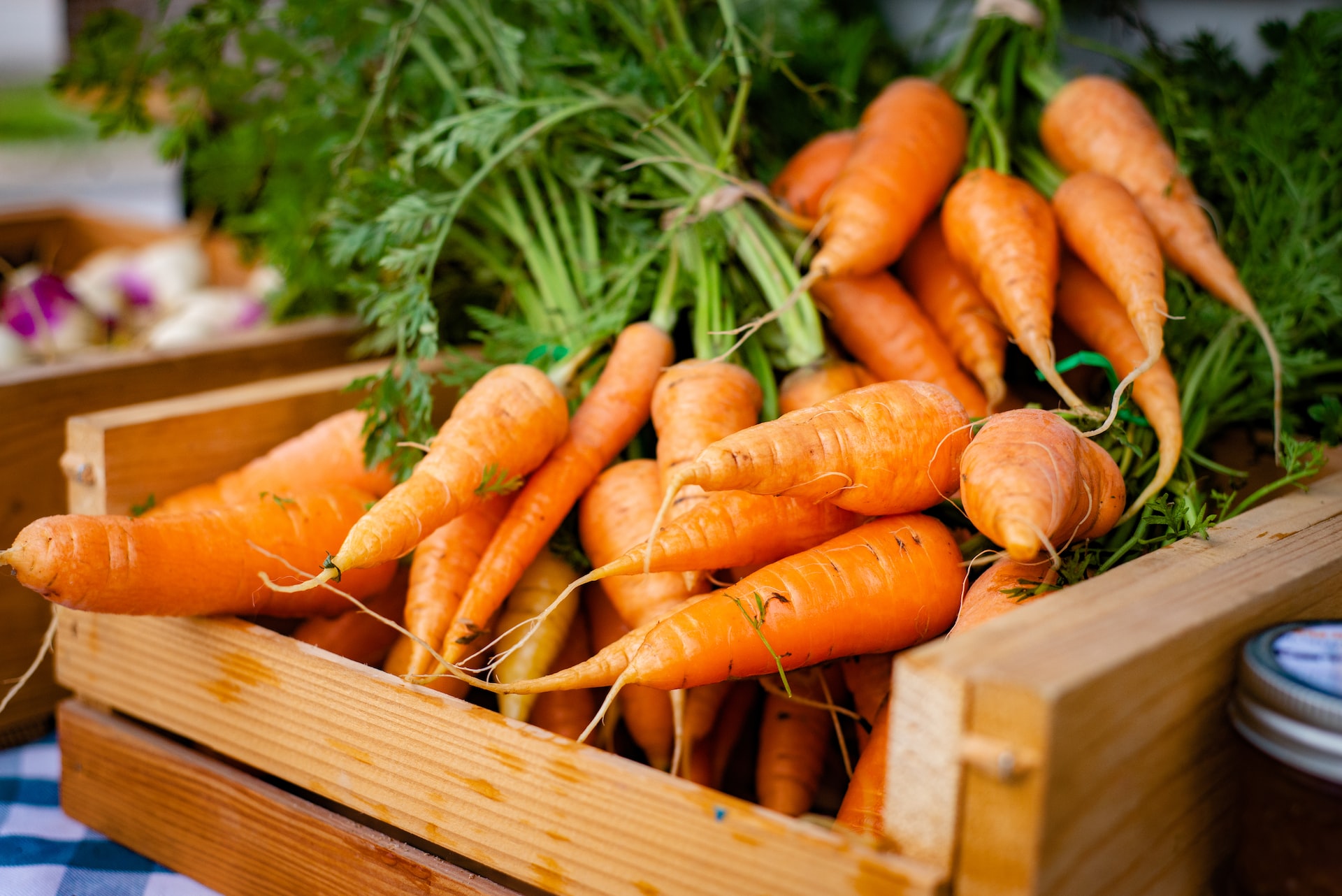 Buying Regular Carrots And Cutting Them Is Healthier And More Cost Effective