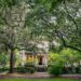 Savannah Is Known For Its Spanish Moss Trees