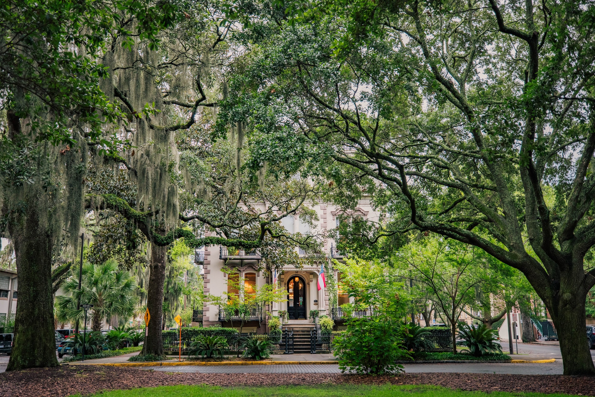 Savannah Is Known For Its Spanish Moss Trees